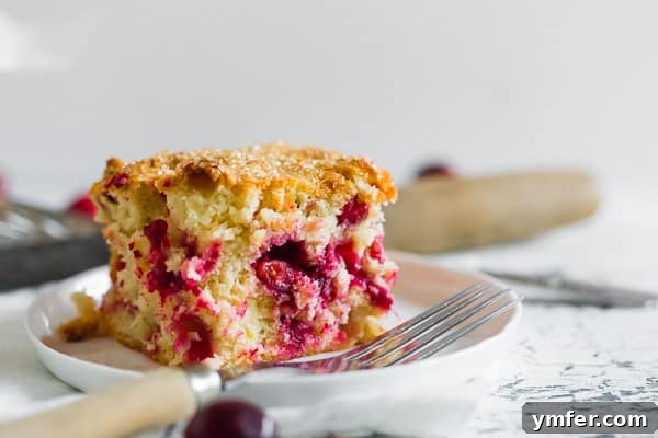 Bright Cranberry Vanilla Buttermilk Cake 3 A close-up of a slice of Vanilla Cranberry Buttermilk Cake, revealing the juicy cranberries studded throughout the tender crumb, ready to be enjoyed.