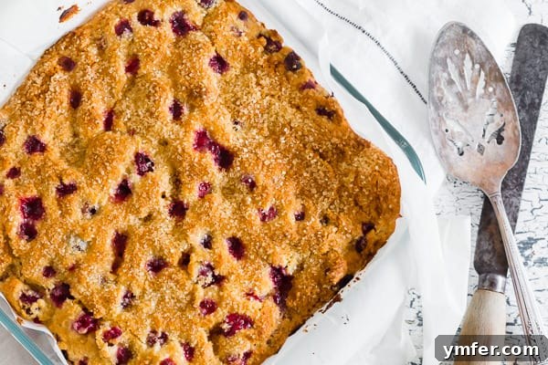 Bright Cranberry Vanilla Buttermilk Cake 4 The top of a Vanilla Cranberry Buttermilk Cake generously sprinkled with coarse turbinado sugar, creating a glistening, crunchy crust.