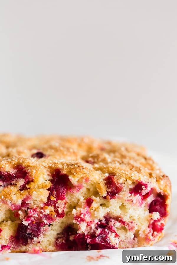 Bright Cranberry Vanilla Buttermilk Cake 8 A beautifully presented Vanilla Cranberry Buttermilk Cake, cut into squares and served, showing the inviting, rustic appeal of the dessert.