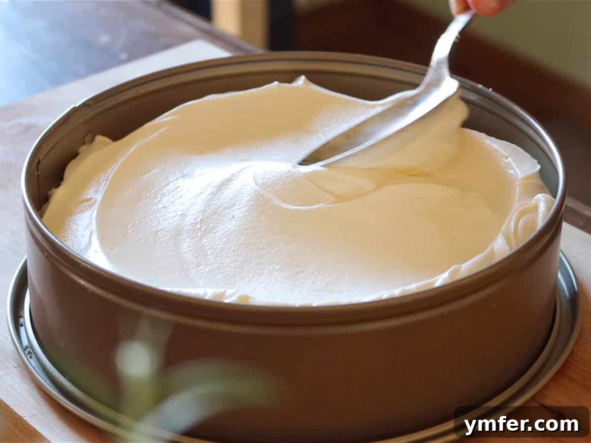 Creamy No-Bake Vegan Cheesecake 8 Spoon smoothing the cream cheese filling into the biscuit base in a cake pan.