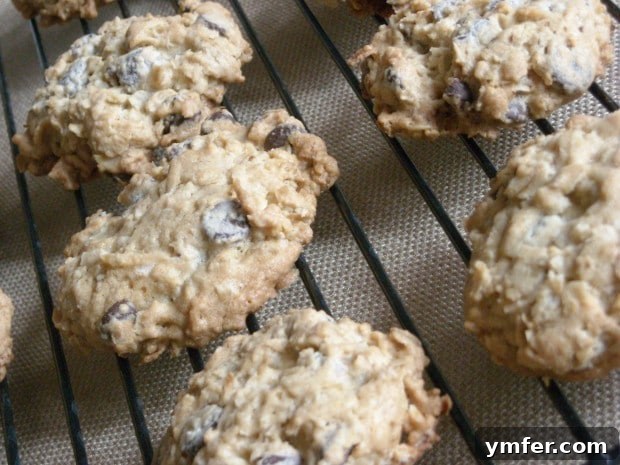 These kitchen sink cookies contain everything but the kitchen sink. Packed full of oats, chocolate chips and coconut. These kitchen sink cookies contain everything but the kitchen sink. Packed full of oats, chocolate chips and coconut.