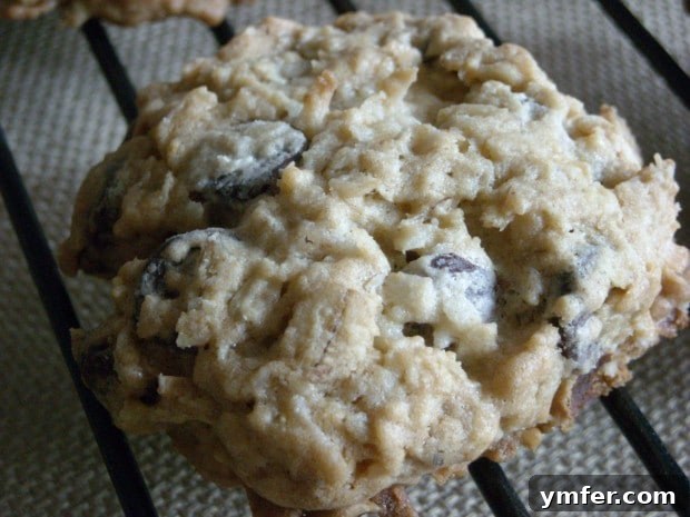 These kitchen sink cookies contain everything but the kitchen sink. Packed full of oats, chocolate chips and coconut. These kitchen sink cookies contain everything but the kitchen sink. Packed full of oats, chocolate chips and coconut.