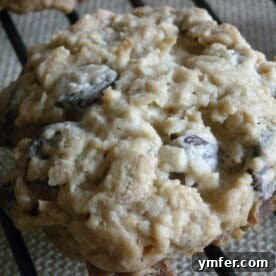 Medley Masterpiece Cookies 2 These kitchen sink cookies contain everything but the kitchen sink. Packed full of oats, chocolate chips and coconut.