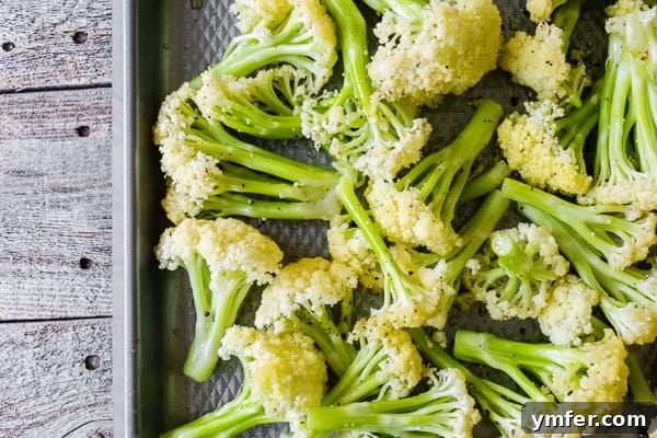 Perfectly Roasted Caulilini 4 Uncooked Caulilini Baby Cauliflower arranged on a sheet pan before roasting