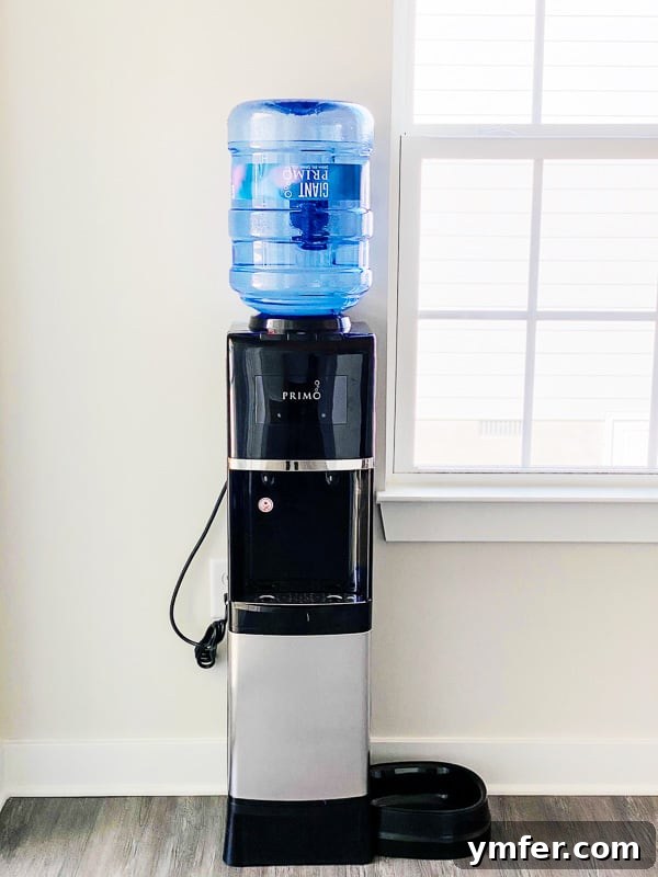 5 Easy Hacks to Boost Your Water Intake 5 A variety of fresh fruits and herbs laid out, ready to be used for infusing water, showcasing options for natural flavor.