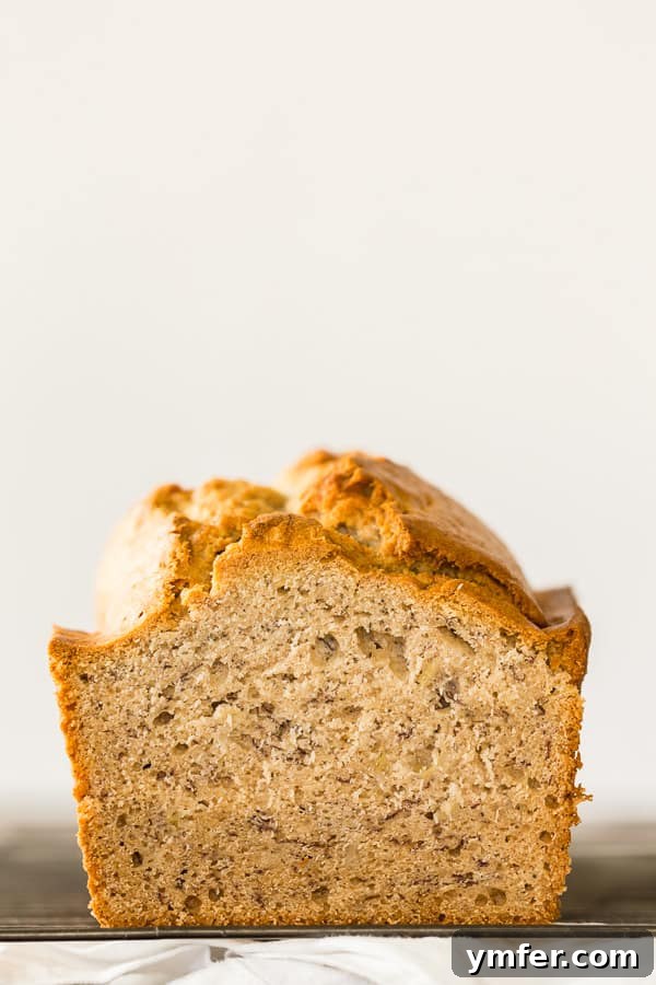 Tangy Sourdough Banana Loaf 3 Close-up view of the moist and tender texture of sourdough discard banana bread.