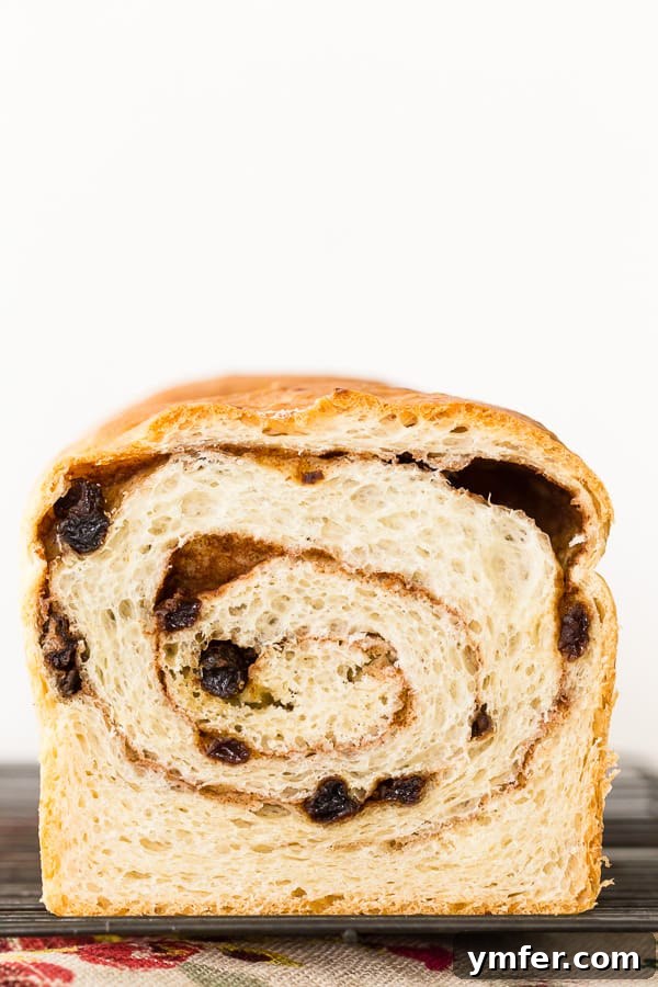 cinnamon raisin sourdough bread cut in half with the swirl showing