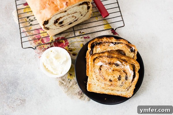 sliced and toasted cinnamon raisin sourdough bread