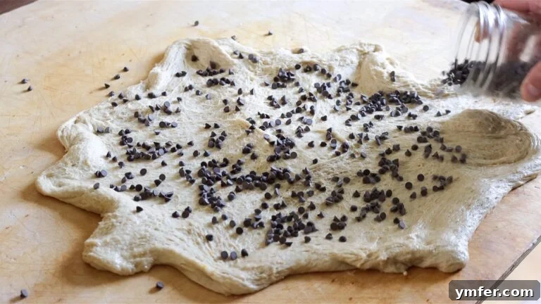 Incorporating chocolate chips into the brioche dough on a worktop