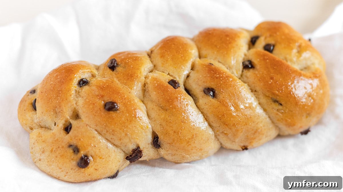 Decadent Vegan Chocolate Chip Brioches 5 A plate of freshly baked Italian treccine with chocolate, garnished with powdered sugar