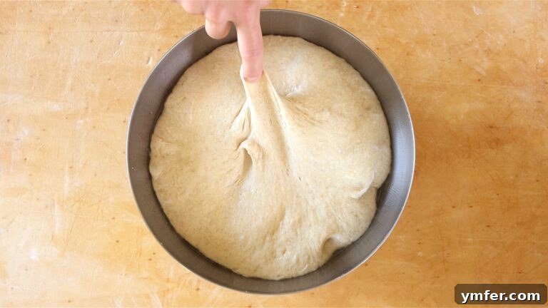 Proofed vegan brioche dough in an oiled bowl, covered with a damp cloth