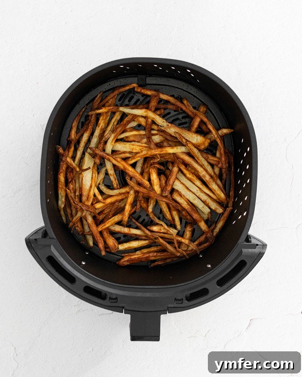 Crispy Air Fryer Garlic Parmesan Fries 3 Garlic Parmesan Air Fryer French Fries inside the air fryer basket, showing their golden crispiness