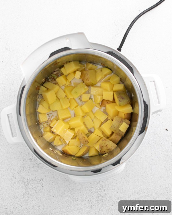 Creamy Instant Pot Colcannon 4 Ingredients for Instant Pot Colcannon Potatoes: chopped potatoes, shredded cabbage, and garlic.