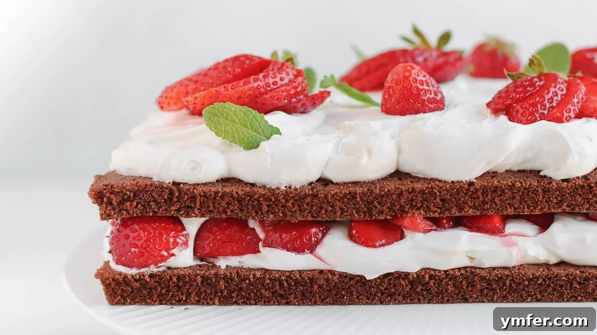 Decadent Vegan Chocolate Strawberry Cake 2 double sheet cake with chocolate and strawberries