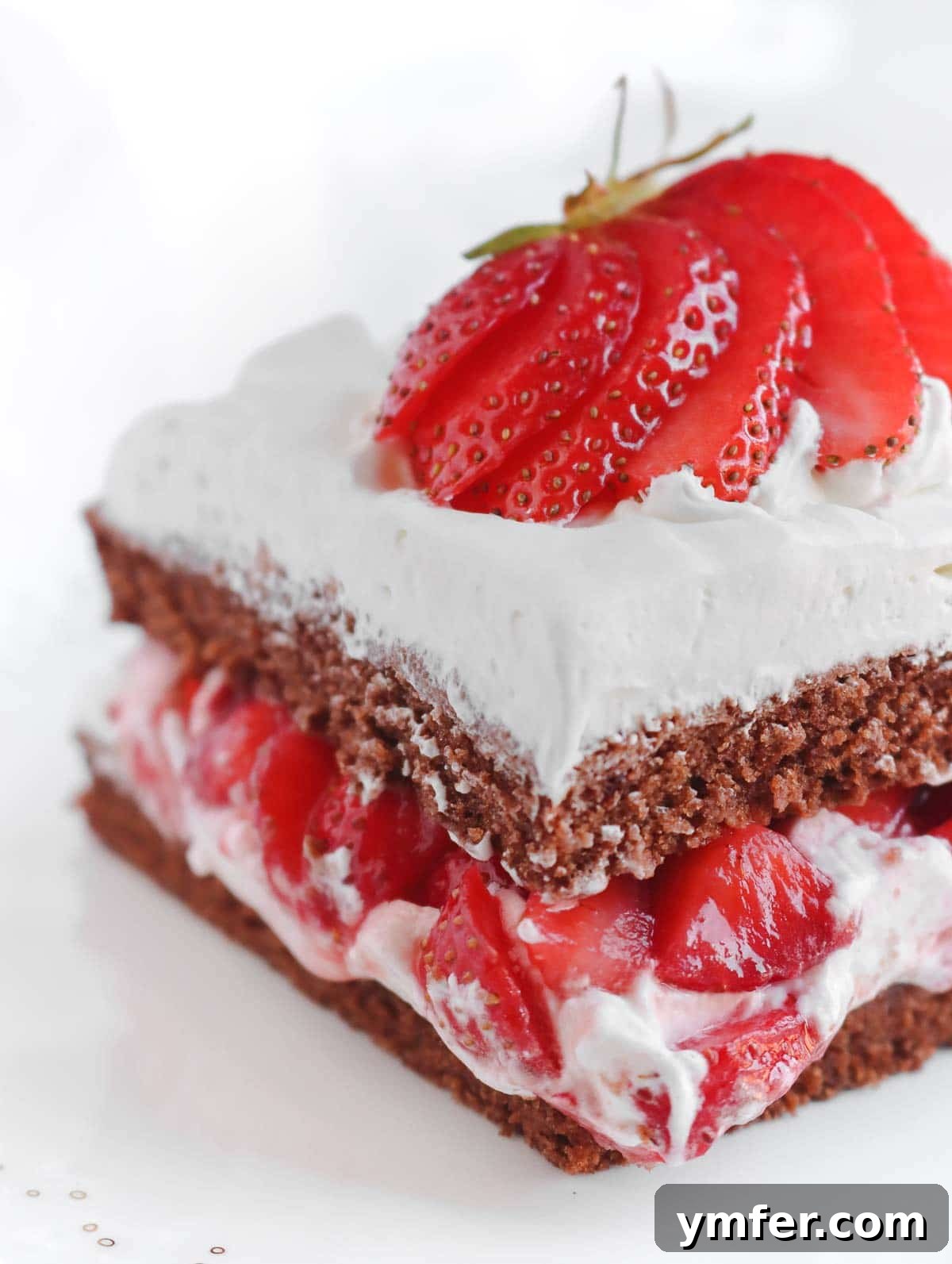 Decadent Vegan Chocolate Strawberry Cake 3 slice of vegan chocolate strawberry cake