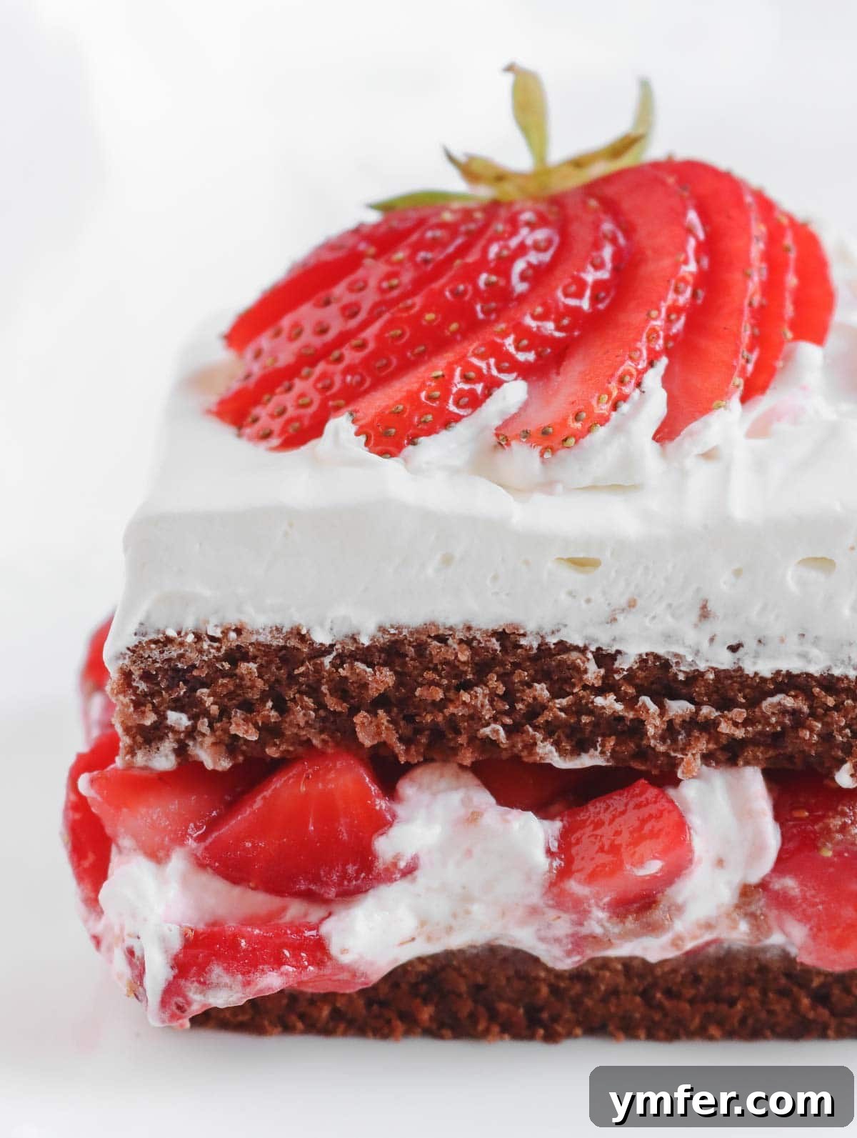 Decadent Vegan Chocolate Strawberry Cake 4 vegan strawberry cake