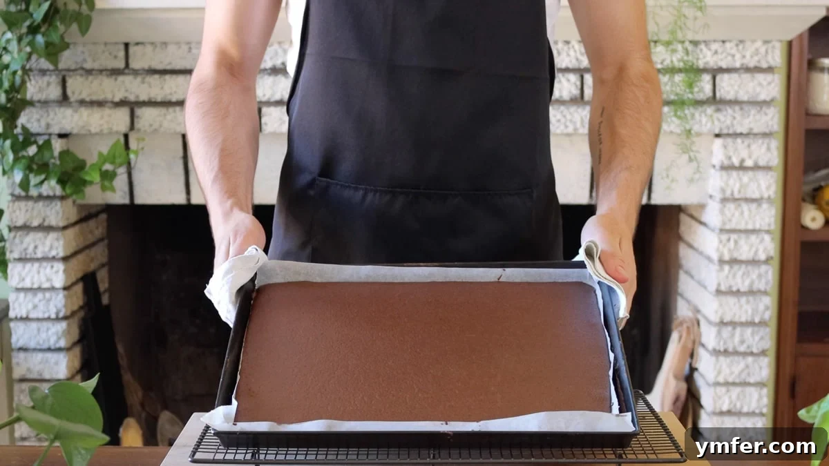 Decadent Vegan Chocolate Strawberry Cake 5 chocolate sponge in the baking sheet