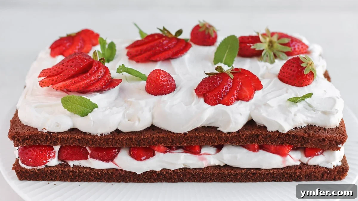 Decadent Vegan Chocolate Strawberry Cake 6 double sheet chocolate strawberry cake