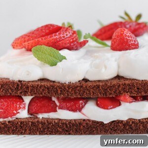 double sheet cake with chocolate and strawberries