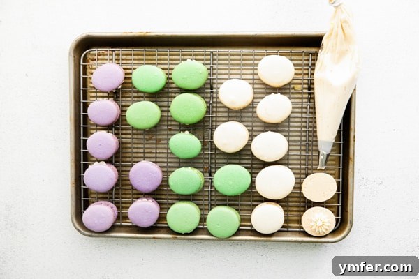 Pastel Easter Macarons 4 Freshly baked Easter egg macarons cooling on a sheet pan, showcasing their perfect rounded shapes and the characteristic 'feet'.