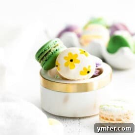 An Easter Egg Macaron with vanilla buttercream filling, ready for sharing.