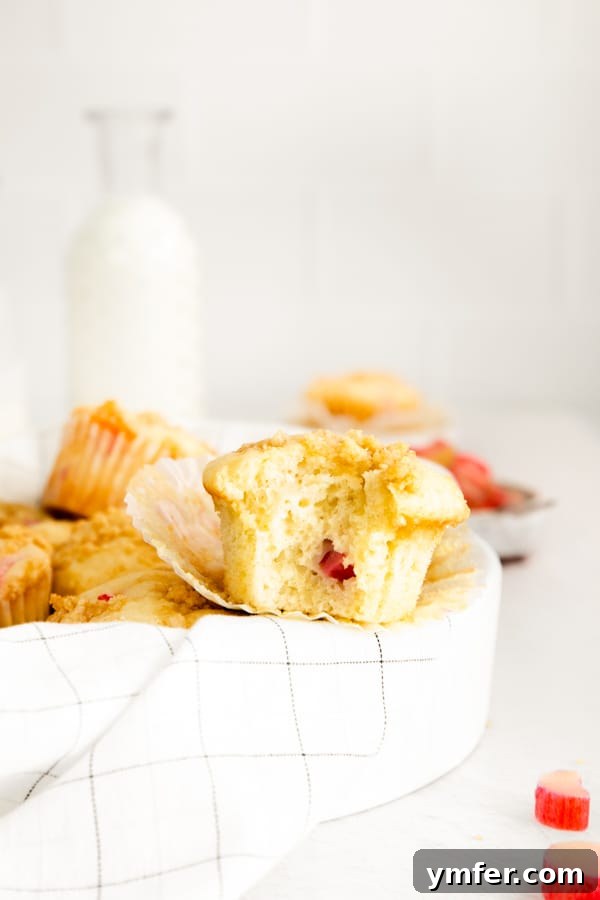Rhubarb Crumble Muffins 5 A delicious streusel topped rhubarb muffin with a bite taken, revealing the tender, fruity interior and crumbly topping.