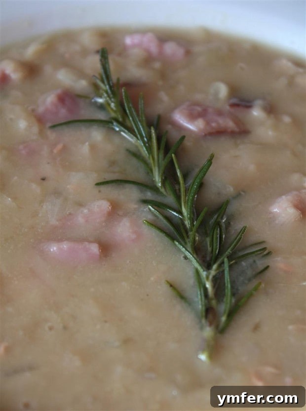 Heartwarming White Bean Ham Rosemary Soup: A Cozy Winter Classic A steaming bowl of White Bean Ham Rosemary Soup, garnished with fresh rosemary. Perfect for a chilly winter day.