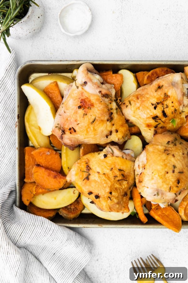 Sheet Pan Apple and Chicken Roast 6 Another view of the Sheet Pan Chicken and Apples with Sweet Potatoes, perfectly cooked on a single pan, highlighting the vibrant colors and textures.