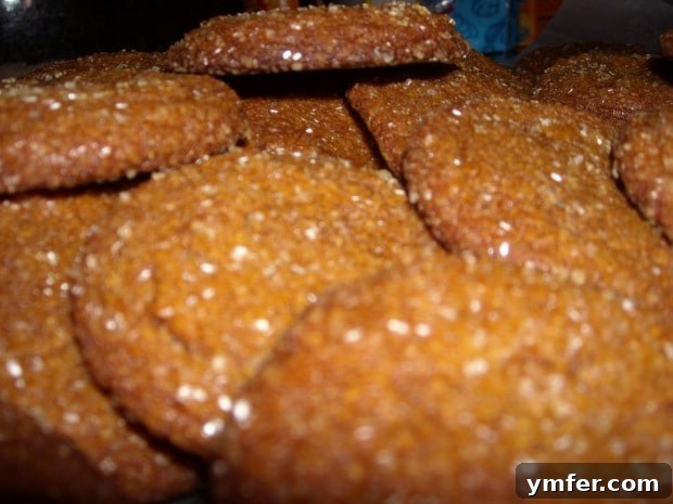 A stack of golden-brown ginger cookies, highlighting their inviting texture and rich color, ready to be enjoyed.