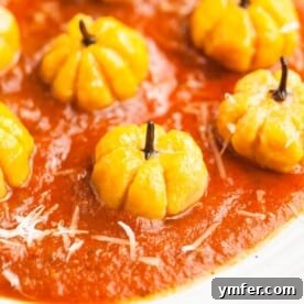 A delicious bowl of Pumpkin Shaped Gnocchi