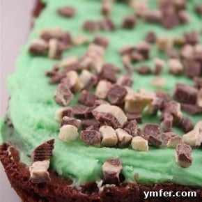 Minty Mascarpone Fudge Indulgence 2 img 1921 3