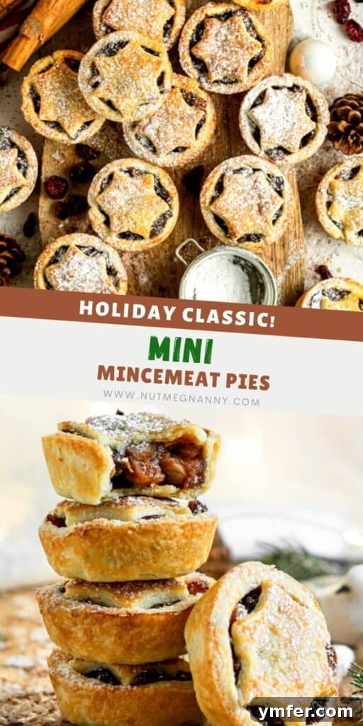 Spiced Holiday Mini Tarts 8 Mini Mincemeat Pies pie for pinterest.
