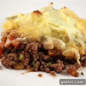 Savory Irish Stout Shepherd's Bake 2 img 1943 4