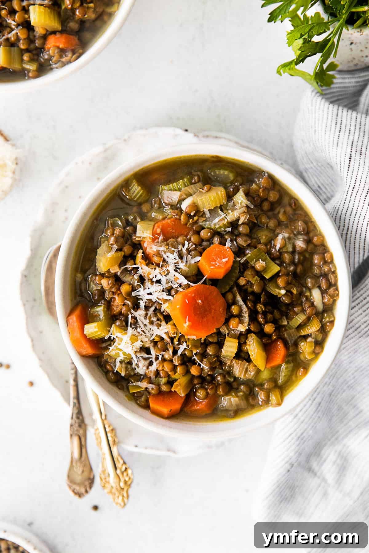 Nourishing French Lentil Potage 2 French lentil soup in a white bowl.