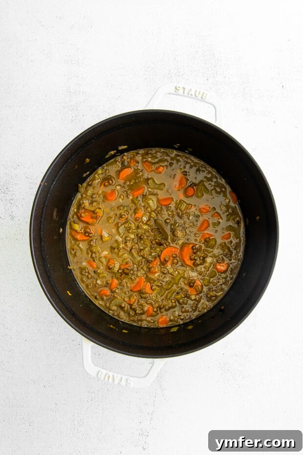 Nourishing French Lentil Potage 5 Healthy French Lentil Soup in a soup pot.