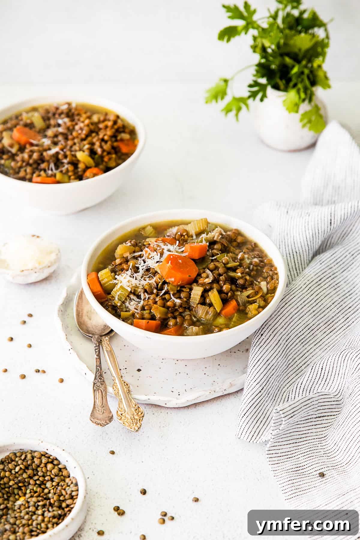 Nourishing French Lentil Potage 6 Healthy French Lentil Soup in a bowl with a spoon on the side.