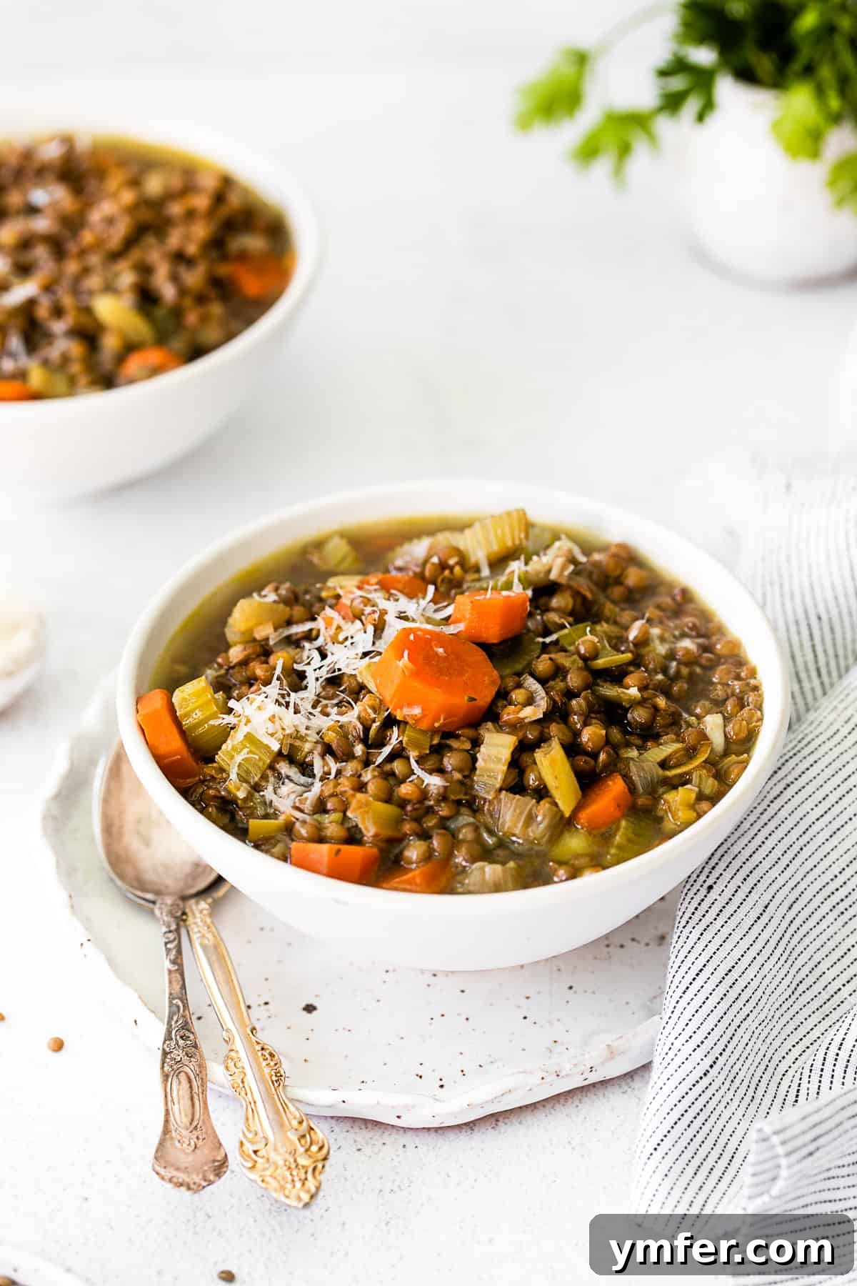 Nourishing French Lentil Potage 9 Healthy French Lentil Soup served in a white bowl.