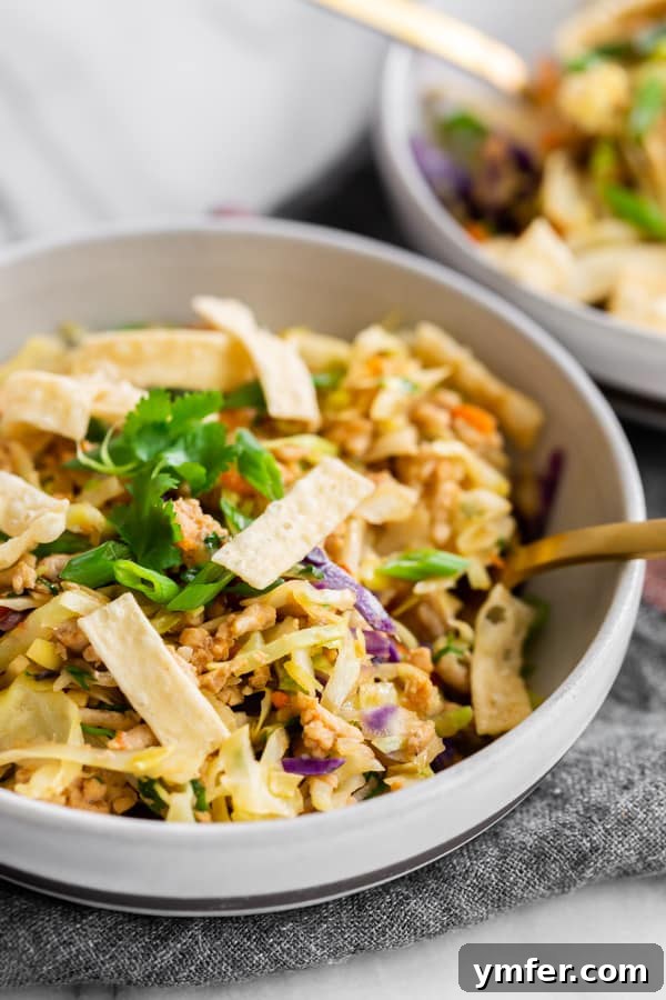 Close-up view of the Ground Chicken Egg Roll Bowl generously topped with golden crispy wonton strips, enhancing the texture and appeal of the dish.