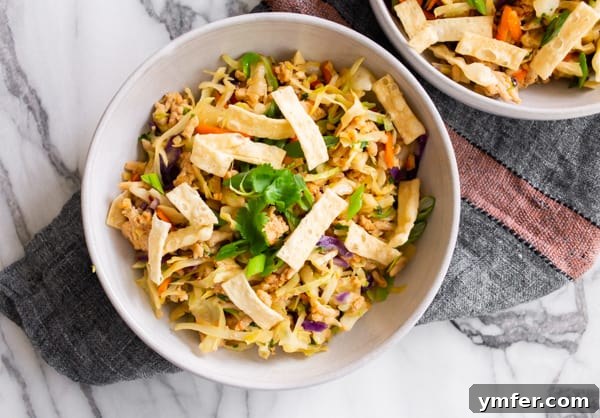 A beautifully presented Ground Chicken Egg Roll Bowl in a pristine white bowl, garnished with crunchy wonton strips, highlighting its appealing presentation.