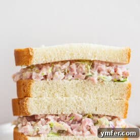 Homemade Ham Salad Perfection 7 Ham Salad Recipe