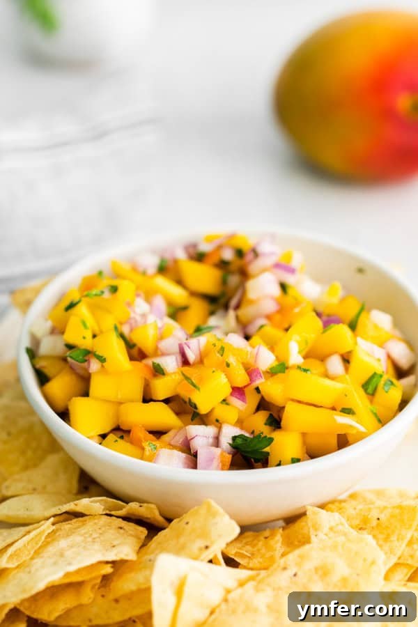 Tropical Inferno Salsa 4 Mango Habanero Salsa served in a bowl with a side of corn chips, ready for dipping.