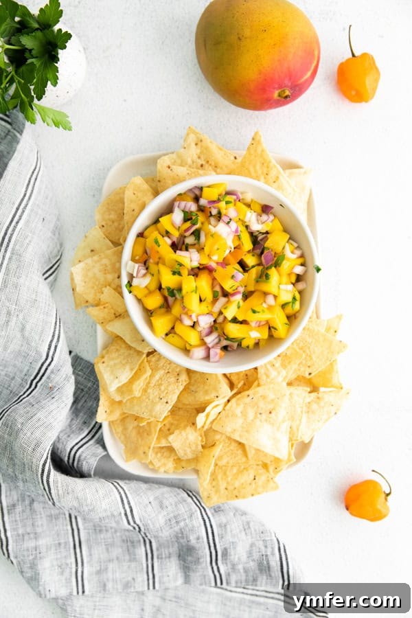 Tropical Inferno Salsa 5 A bowl of Mango Habanero Salsa with corn chips artfully arranged around it.