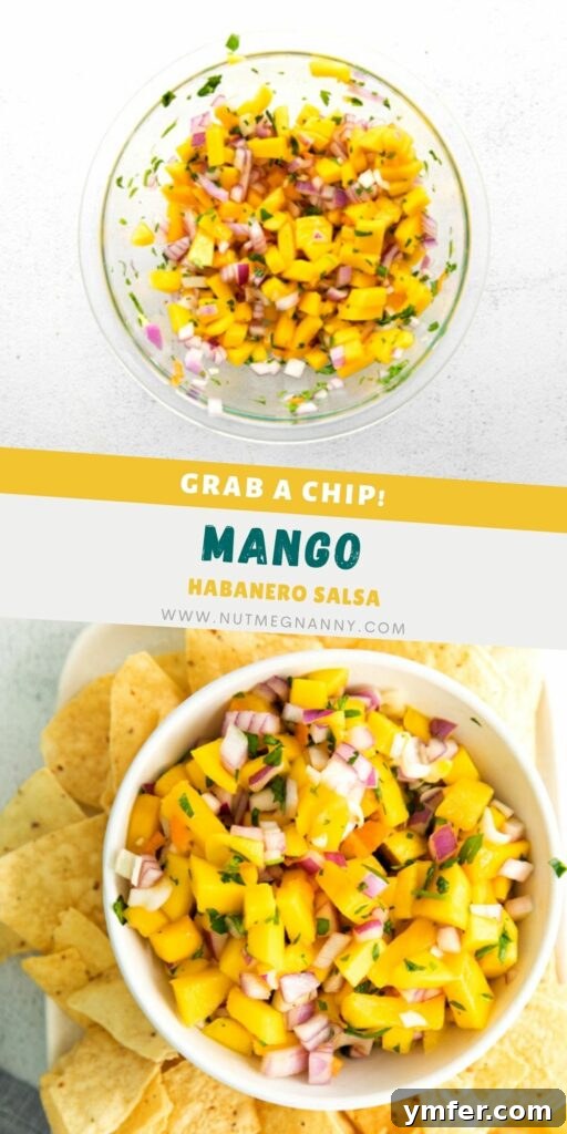 Tropical Inferno Salsa 8 A vibrant image of Mango Habanero Salsa in a bowl, perfect for sharing on Pinterest.