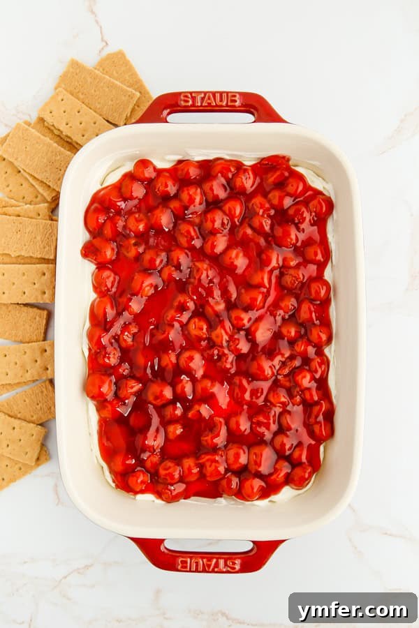Luscious Cherry Cheesecake Dip 2 A beautiful bowl of Cherry Cheesecake Dip, garnished with fresh cherries and mint, served alongside an assortment of crisp graham crackers, fruit slices, and cookies, ready for dipping.