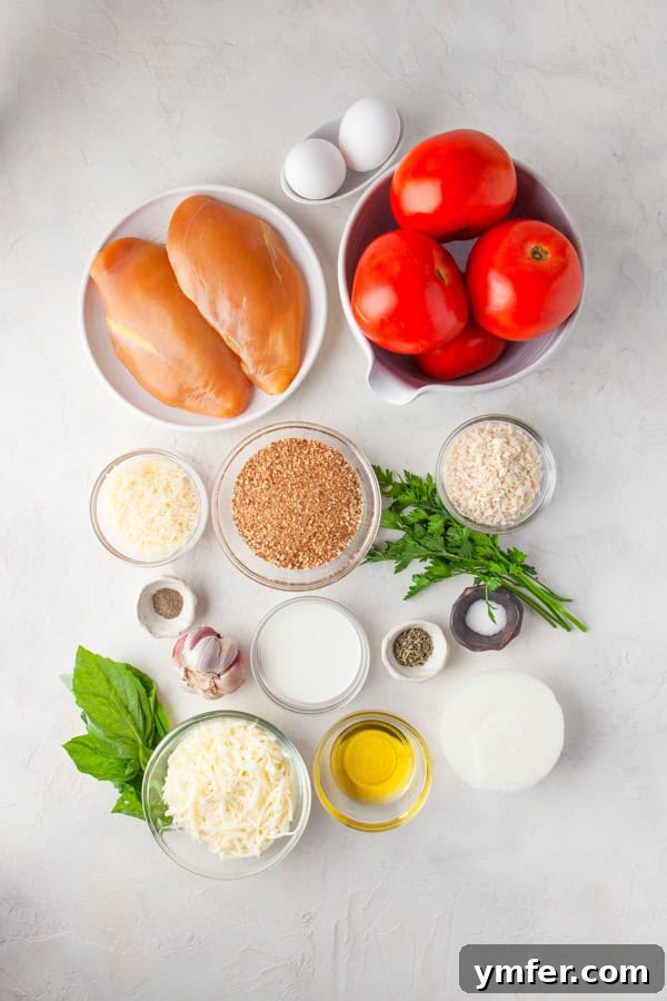 Crispy Air Fryer Chicken Parmesan 3 Ingredients laid out on a kitchen counter, ready to prepare Air Fryer Chicken Parmesan.