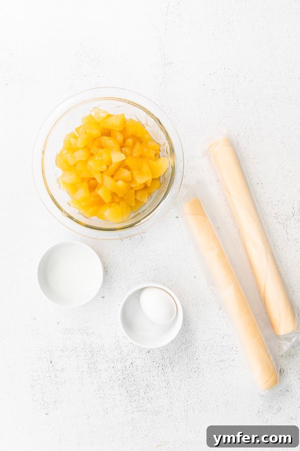 Crispy Air Fryer Apple Hand Pies 3 Ingredients to make Air Fryer Apple Hand Pies.