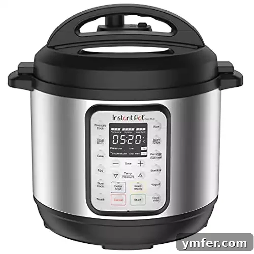 Instant Pot Duo Plus 9-in-1 Electric Pressure Cooker, Slow Cooker, Rice Cooker, Steamer, Sauté, Yogurt Maker, Warmer & Sterilizer, Includes App With Over 800 Recipes, Stainless Steel, 6 Quart