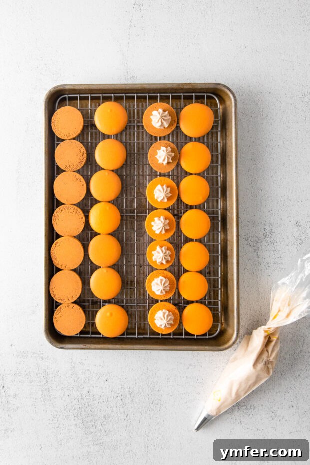 Seasonal Pumpkin Spice Macarons 4 A close-up view of the creamy pumpkin spice filling being precisely piped onto a baked macaron shell, highlighting its smooth texture and rich color.