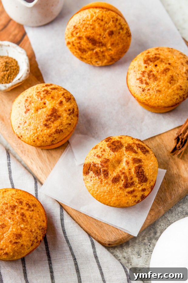 Golden Spiced Pumpkin Cornbread Muffins 7 A close-up of a Sweet Pumpkin Cornbread Muffin, beautifully dusted with cinnamon, highlighting its enticing texture and presentation.