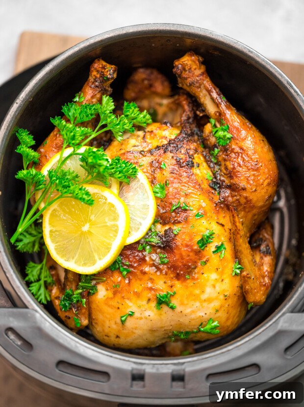 Crispy Air Fryer Whole Chicken 2 Air Fryer Whole Chicken sitting in the air fryer basket.